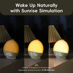 Sunrise Alarm Clock & White Noise Machine