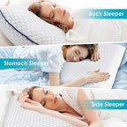 Queen Memory Foam Pillow Set (2)