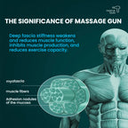 Rechargeable Deep Tissue Massage Gun