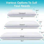 Queen Memory Foam Pillow Set (2)